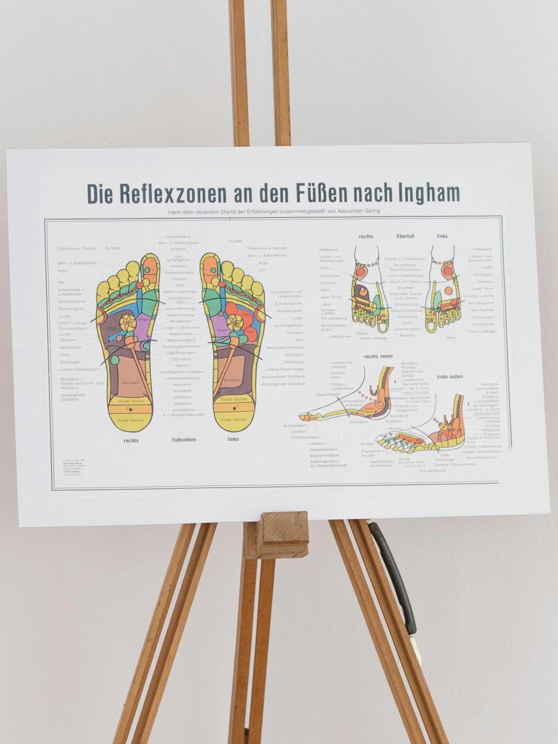 Een reflexologie-voetkaart op een houten standaard met de reflexzones