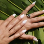 Studioshot van verse acrylnagels in amandelvorm met een nudekleur, tegen een achtergrond van palmbladeren