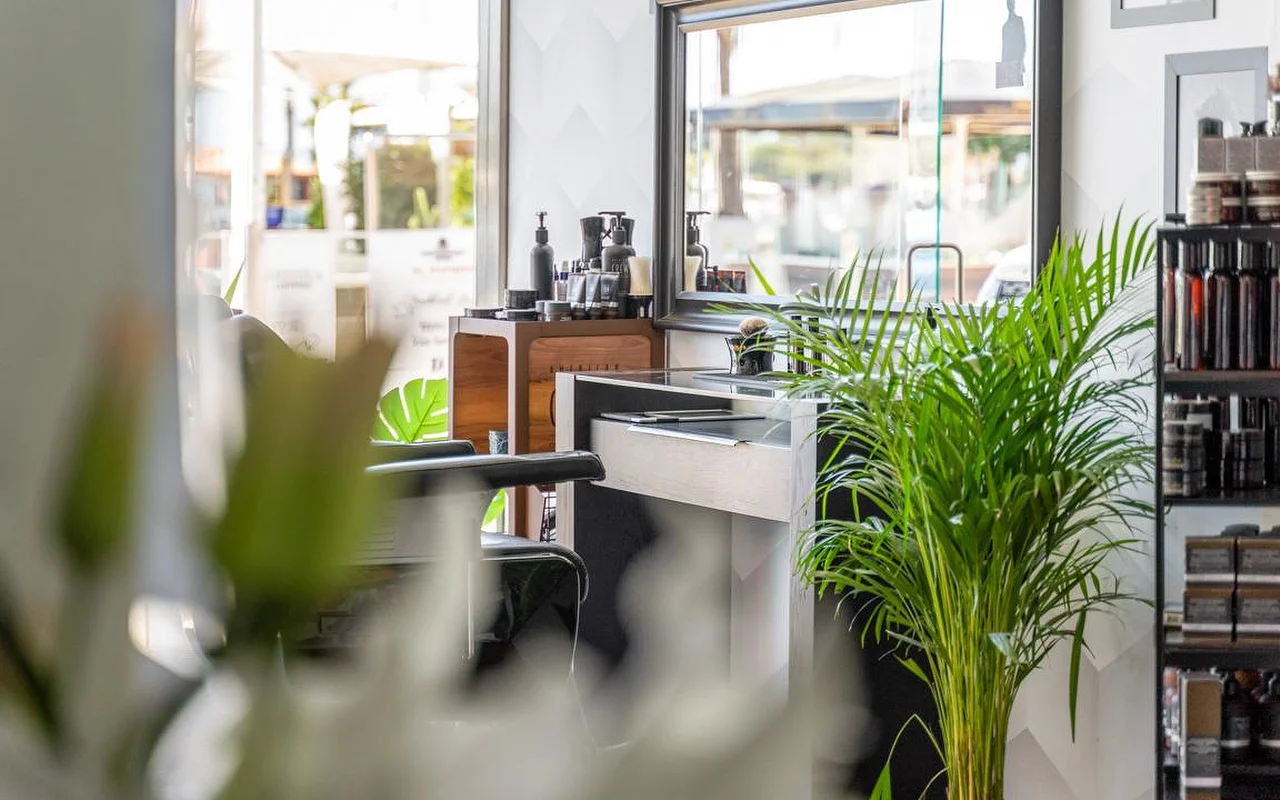 Een stylingplek van een salon, gezien voorbij weelderige groene planten, met verzorgingsproducten op een houten balie en planken en fel daglicht dat door het raam erachter valt.